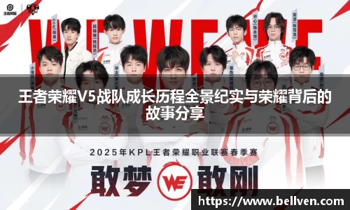 王者荣耀V5战队成长历程全景纪实与荣耀背后的故事分享