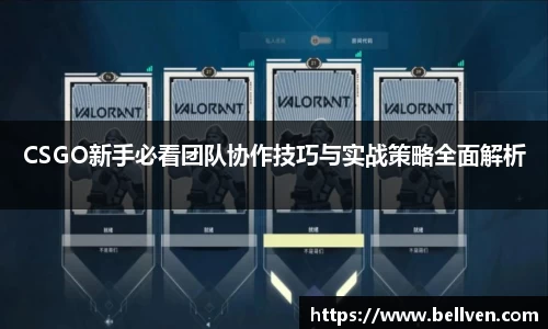CSGO新手必看团队协作技巧与实战策略全面解析