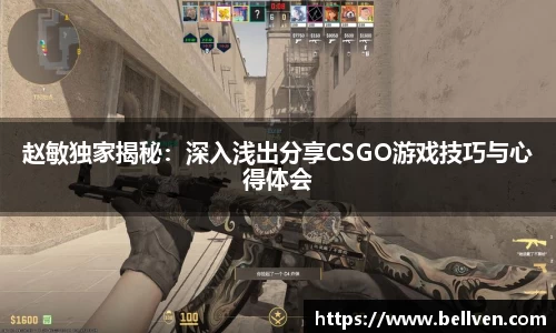 赵敏独家揭秘：深入浅出分享CSGO游戏技巧与心得体会