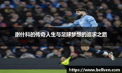 谢什科的传奇人生与足球梦想的追求之路