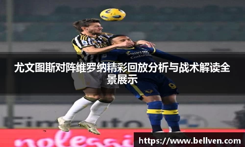 星空电子首页网站